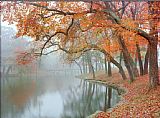 Mike Jones Autumn Reflections by Unknown Artist